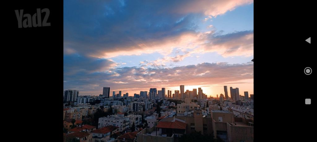 שיינקין 42