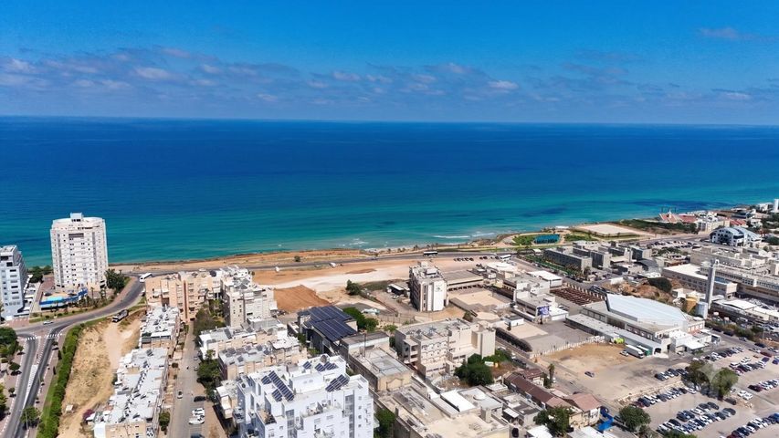 הרב הרצוג 8