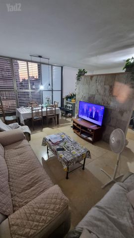 אריה שנקר 79