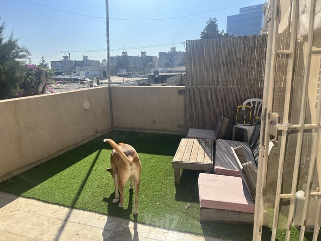 ההסתדרות 207