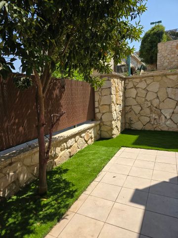 התבור 20