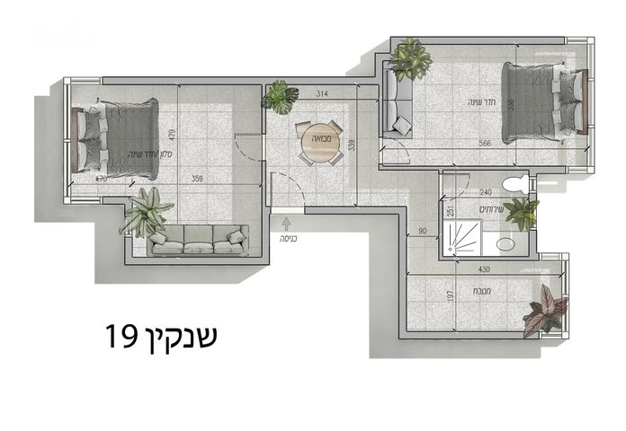 שיינקין 19