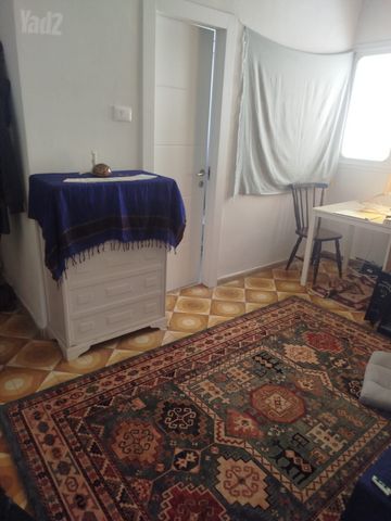 שלמה המלך 24