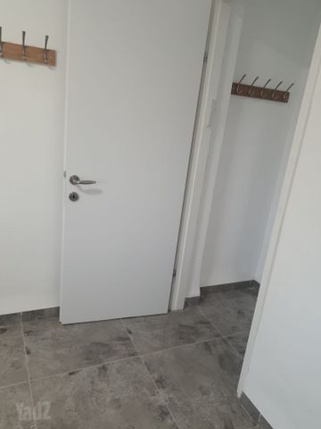 שלמה בן יוסף 539