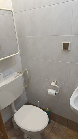 הגפן 39