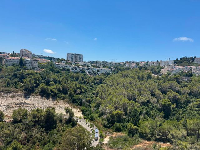 ליאון בלום 