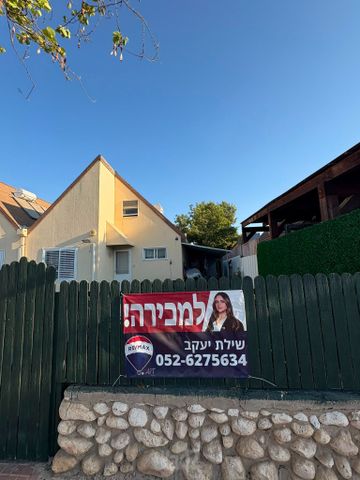 דוד המלך 