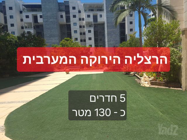 מרכז
