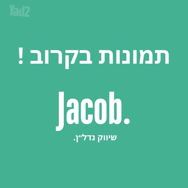 ליאון בלום 