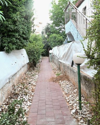 הארז 