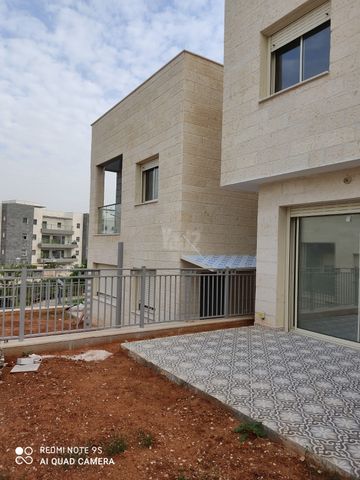 גפן 20