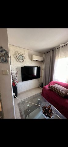 חשמונאים 235