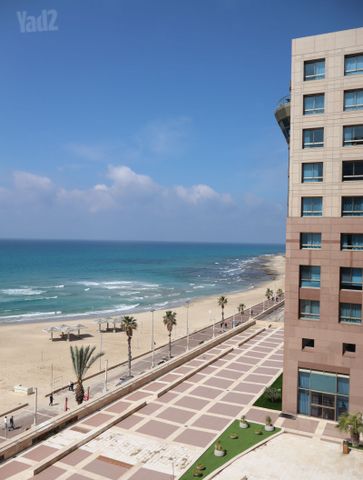 דוד אלעזר 10