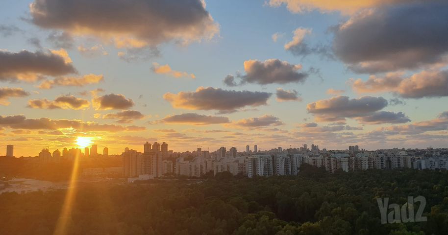 אלונים 12
