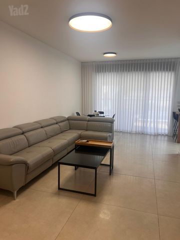מנחם רצון 24