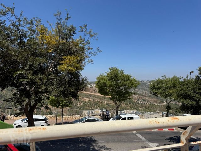המחנכת 41