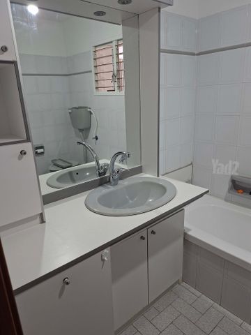 כינרת 47