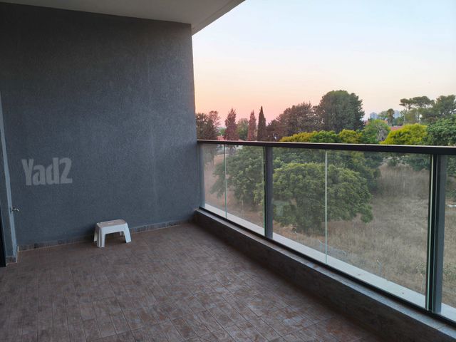 דור 12