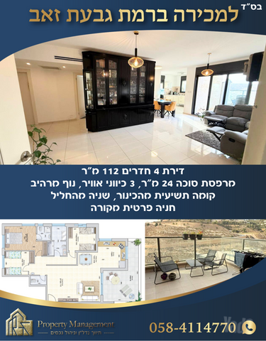 הכינור 