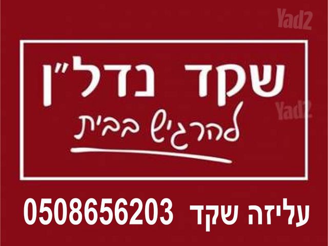 דו משפחתי