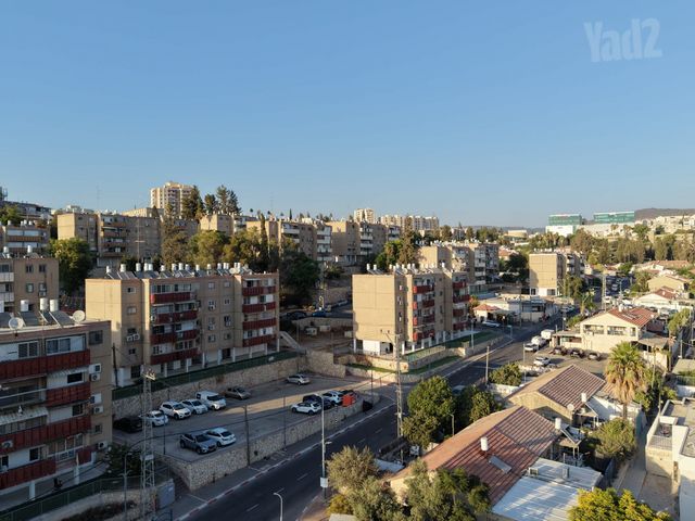 הגפן 