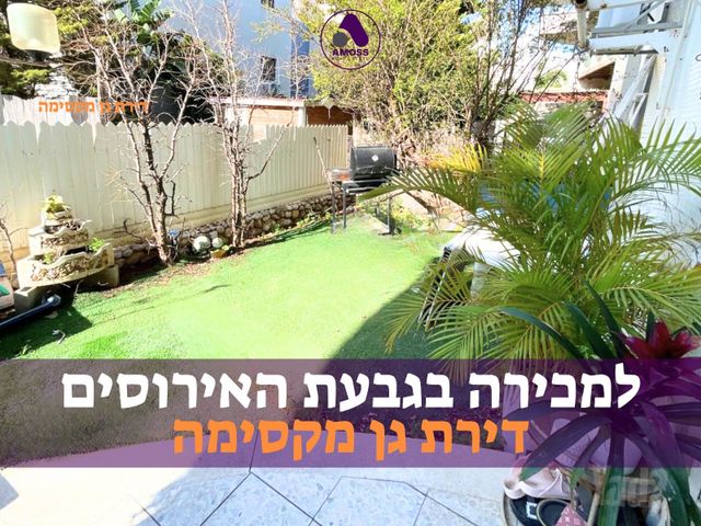 אירוס הארגמן 