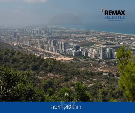 רות 