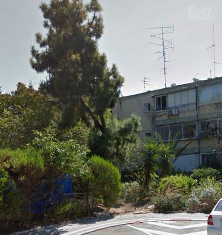 ד"ר חיים ברודי 
