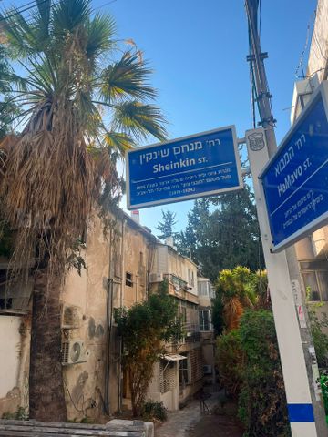 שינקין