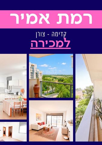 רמת אמיר