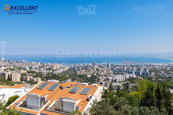 סתוונית
