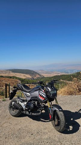 מודעת רכב הונדה MSX125