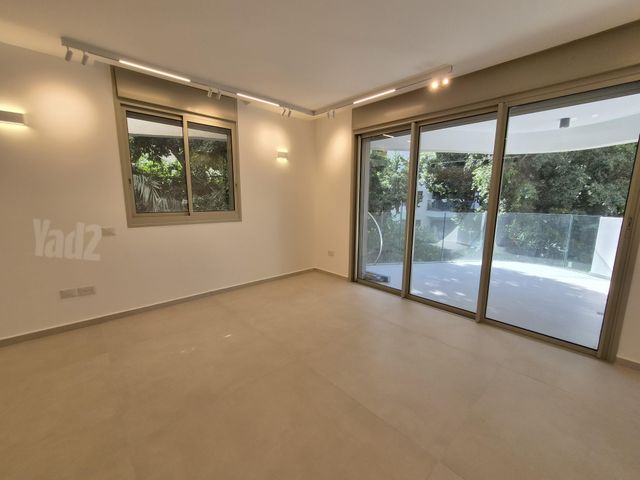 אסף 1