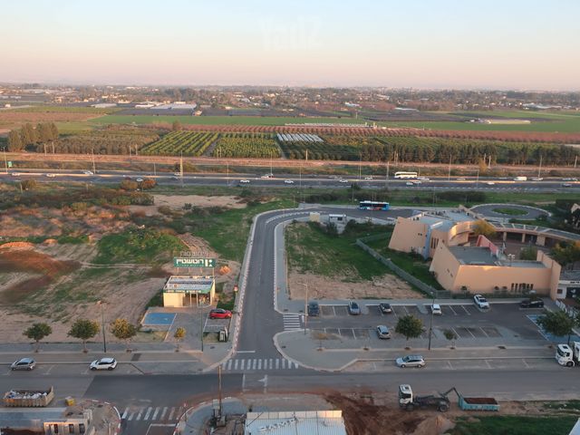ד"ר יוסף בורג 10