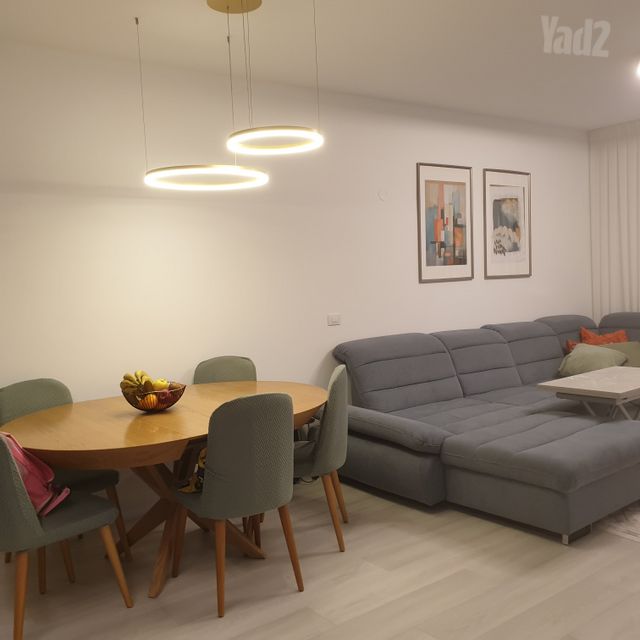 אלישע הנביא 24