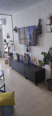 שאול הדדי 19