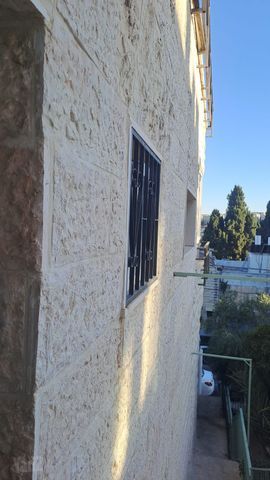 פלורנטין 11