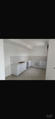 הסנונית 31