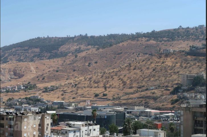 א.ז. ורנר 7