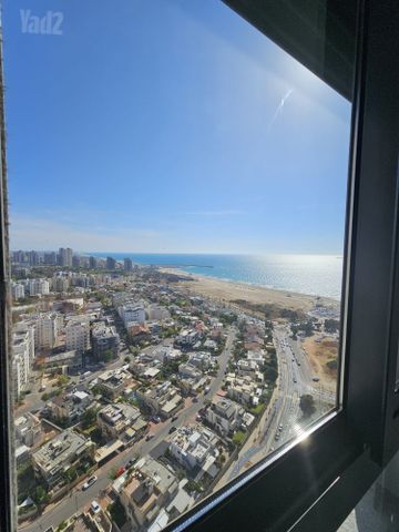 הדקל 5