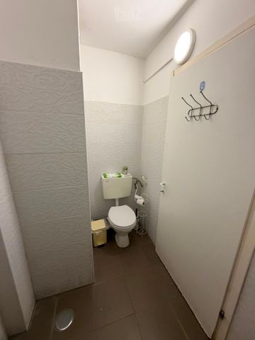דוד המלך 35