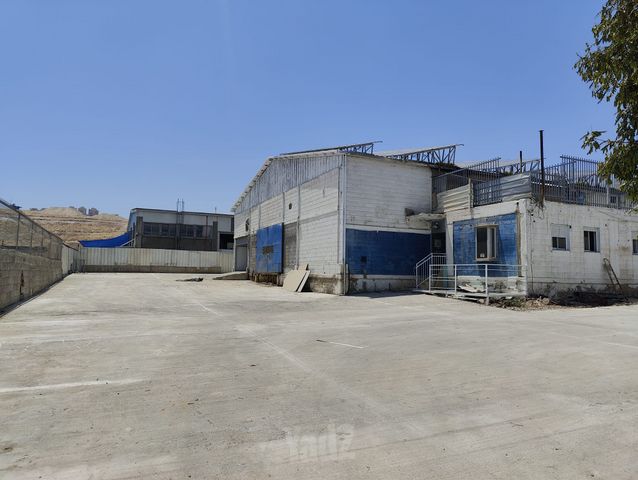 אוגדה 31