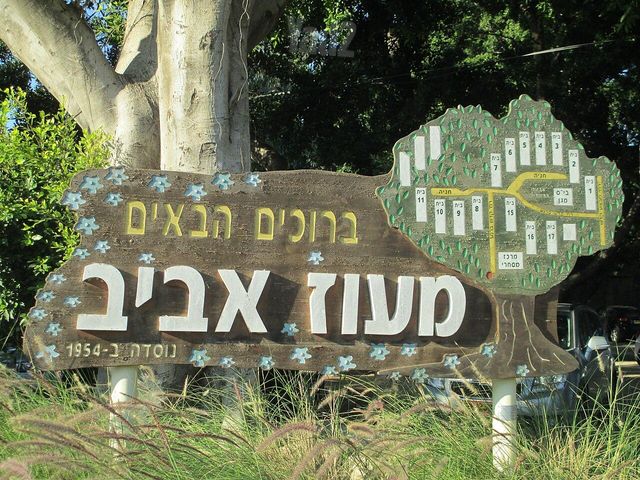 רפידים 14