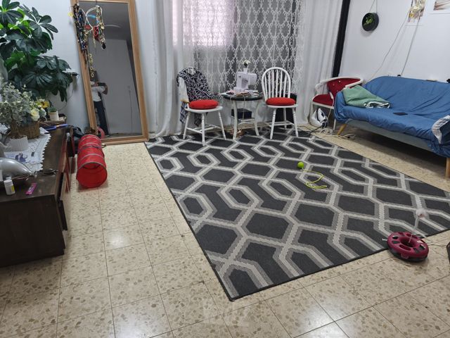 יצחק בן צבי 21