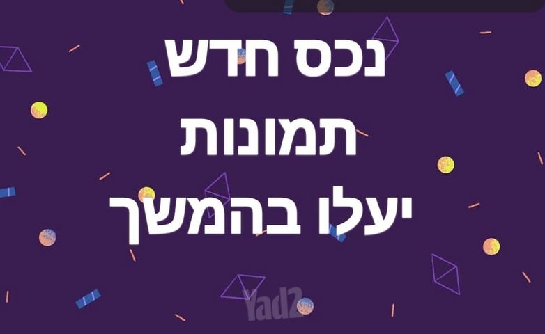 אילנות 