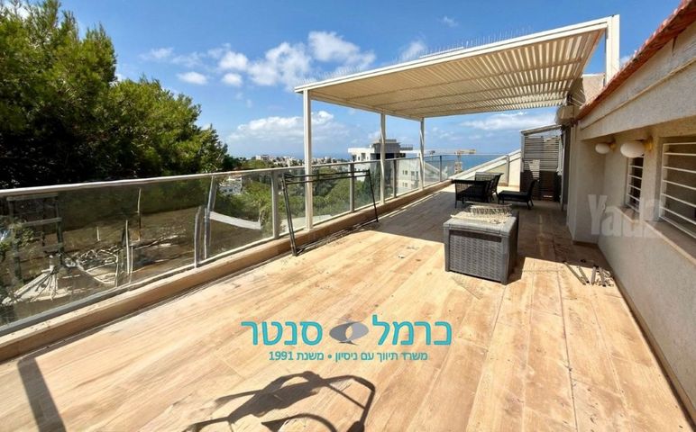 שדרות הברושים 