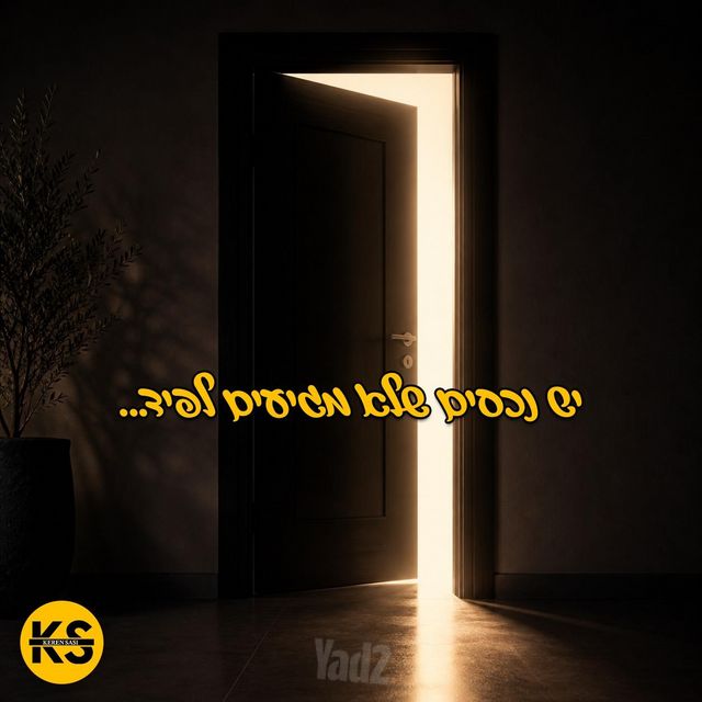 רמת אמיר