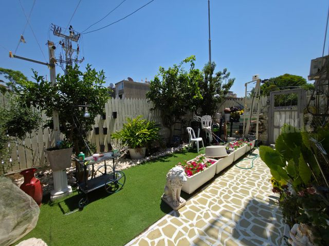אילת 
