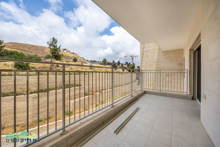 פרופסור יעקב נאמן 