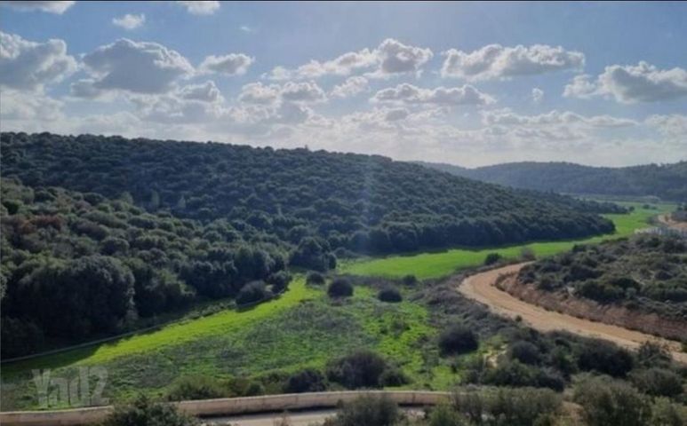 רב ייבא סבא 4